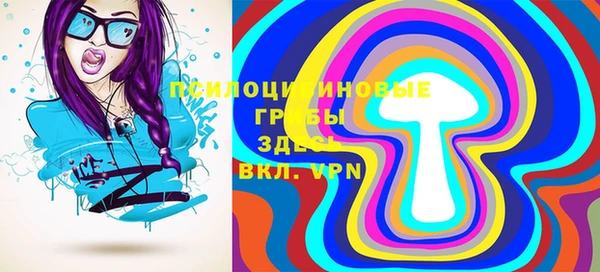 PSILOCYBIN Балабаново