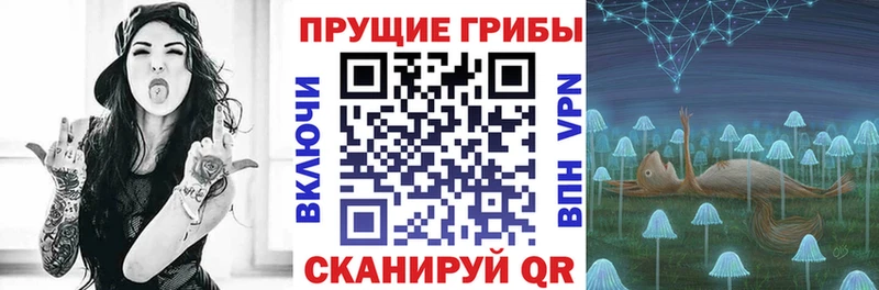 как найти закладки  Болохово  Псилоцибиновые грибы MAGIC MUSHROOMS 